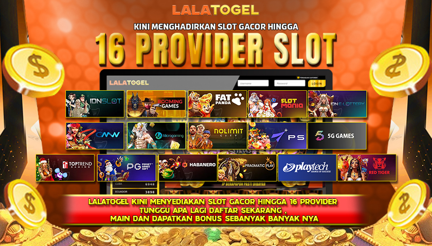 BANNER 16 PROVIDER 